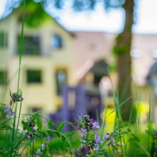 Betreutes Wohnen Unkel mit Rheinpark Residenz direkt am Rhein.