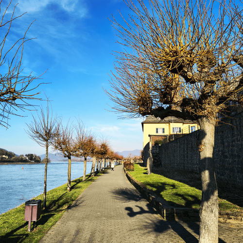 Service Wohnen in Unkel